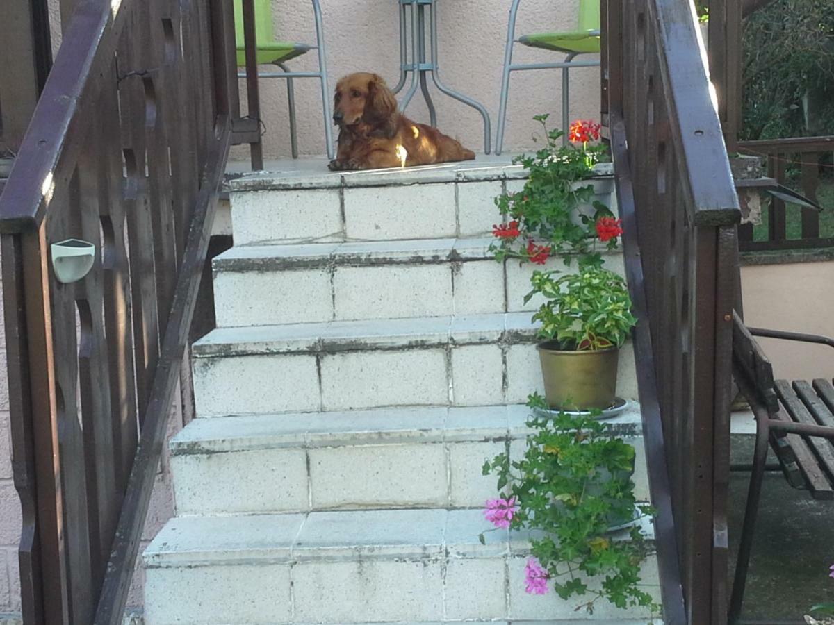 Appartamento Utulny Privat Veľký Meder Esterno foto